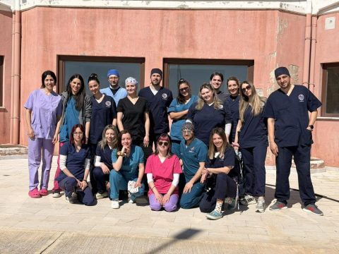 Παρέμβαση Κτηνιατρικού Συλλόγου Μαγνησίας κατά Μπέου: «Η ευθανασία δεν είναι μέσο διαχείρισης αδέσποτων»