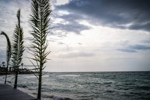 Γιατί ο Τραμπ αυξάνει στο 25% τους δασμούς στα ευρωπαϊκά οχήματα – Πώς απαντά η Ευρώπη