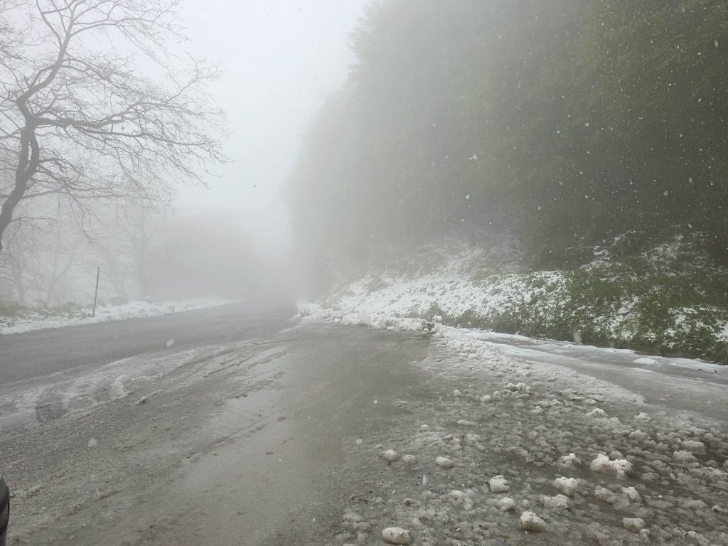 Πυκνή χιονόπτωση στα Χάνια Πηλίου