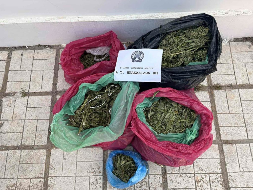 Κως: Κατασχέθηκαν 78 δενδρύλλια και σχεδόν 7 κιλά κάνναβης