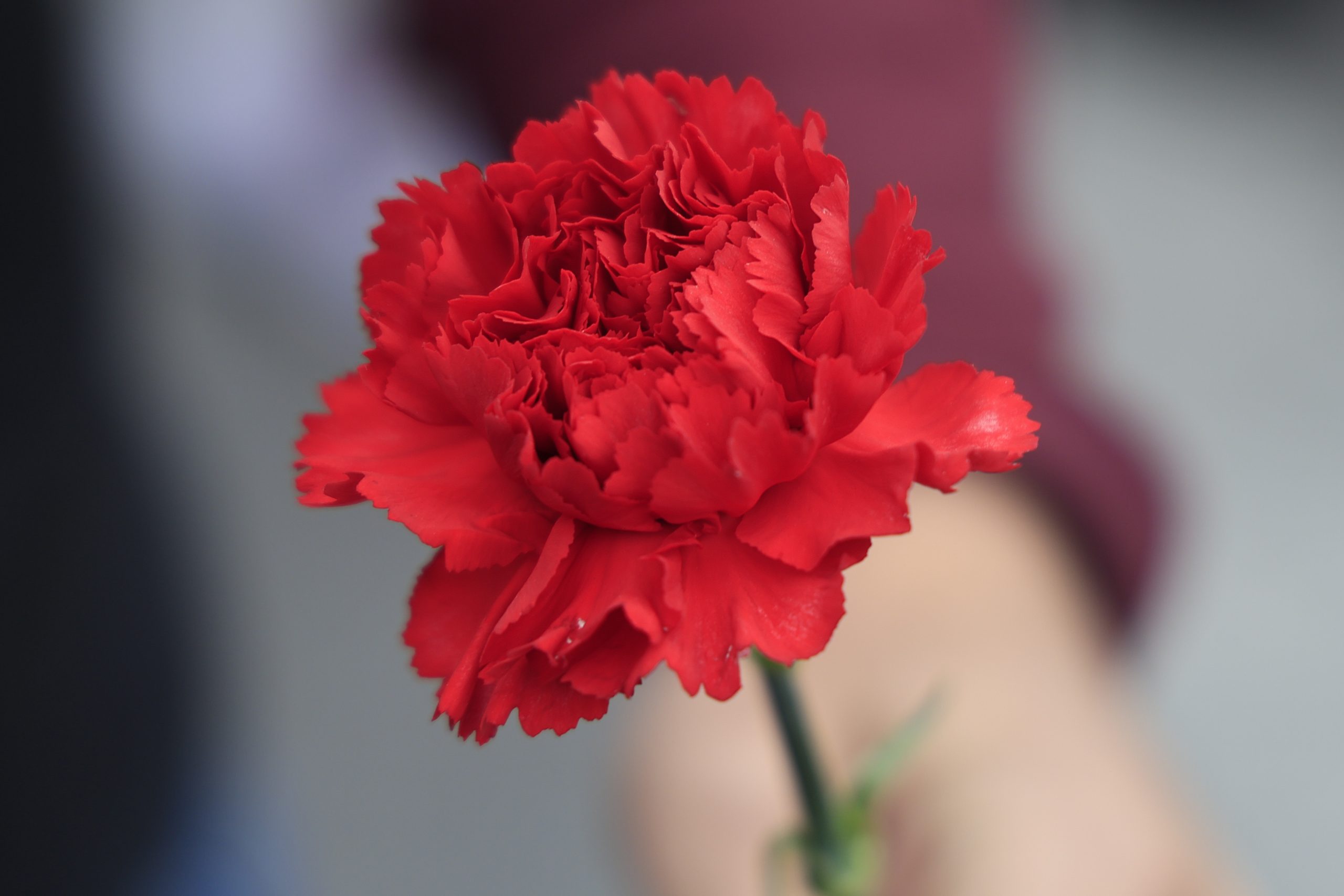 CorfuNews image
