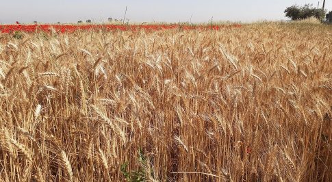«Καμία ένδειξη κατασκοπείας», δηλώνει η Κομισιόν για την ουγγρική αντιπροσωπεία