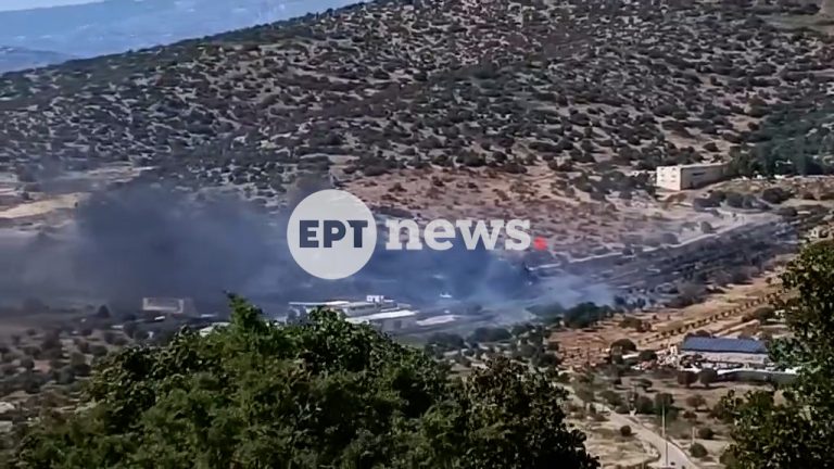 62 πυροσβέστες, 18 οχήματα και ελικόπτερο: Η γιγαντιαία επιχείρηση που έσβησε τη φωτιά στα Καλύβια 3 Έσβησε η φωτιά στα Καλύβια – Έκαψε 25 στρέμματα με ελιές