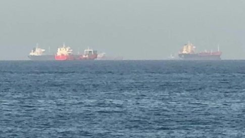 Ψηφιακός «χάρτης ζωής» για τους επικονιαστές του Νοτίου Πηλίου