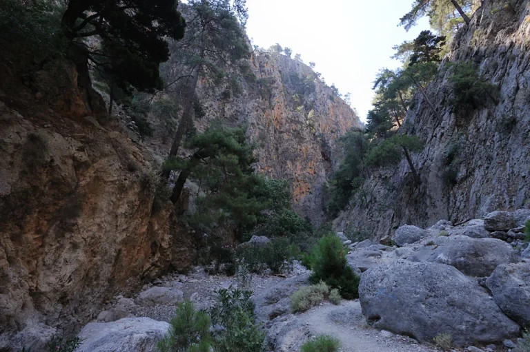 Με επιτυχία ολοκληρώθηκε επιχείρηση διάσωσης 65χρονης τουρίστριας στο φαράγγι της Αγ. Ειρήνης