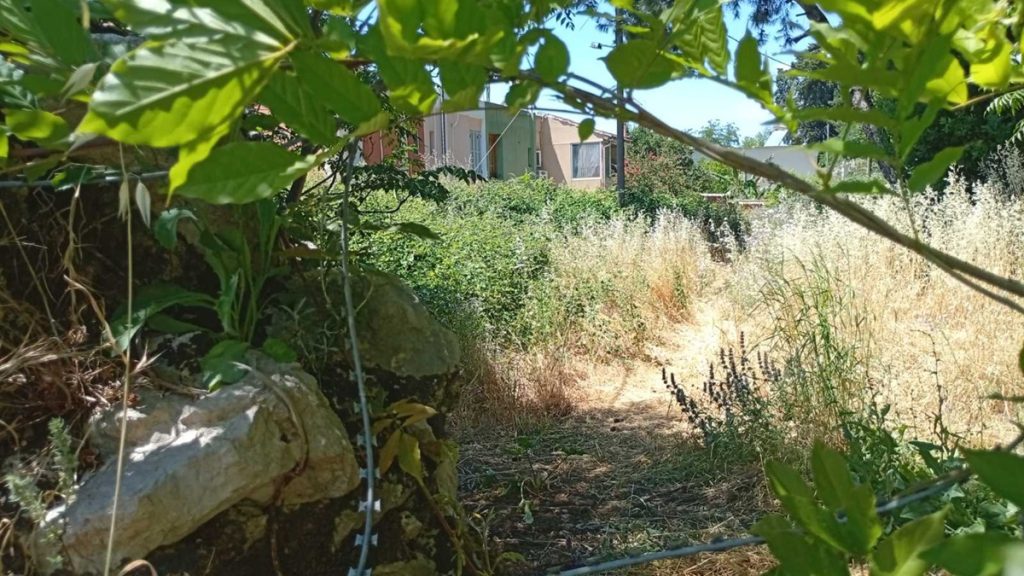 Κέρκυρα: Κάτοικοι ζητούν άμεσο καθαρισμό του άλσους των Φυλακών λόγω κινδύνου πυρκαγιάς