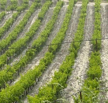 Ηράκλειο: 103 μετανάστες από τα ξημερώματα της Κυριακής στο νότο