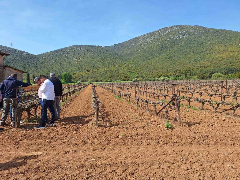 Κλιμάκια του ΕΛΓΑ και της Περιφέρειας Πελοποννήσου σε αυτοψίες στις πληγείσες περιοχές της Τρίπολης