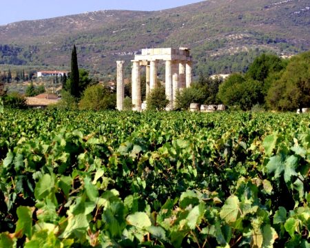 Τρίπολη : Στην «τσιμπίδα» του νόμου 3 άνδρες για κλοπές σε περίπτερα και αυτοκίνητα