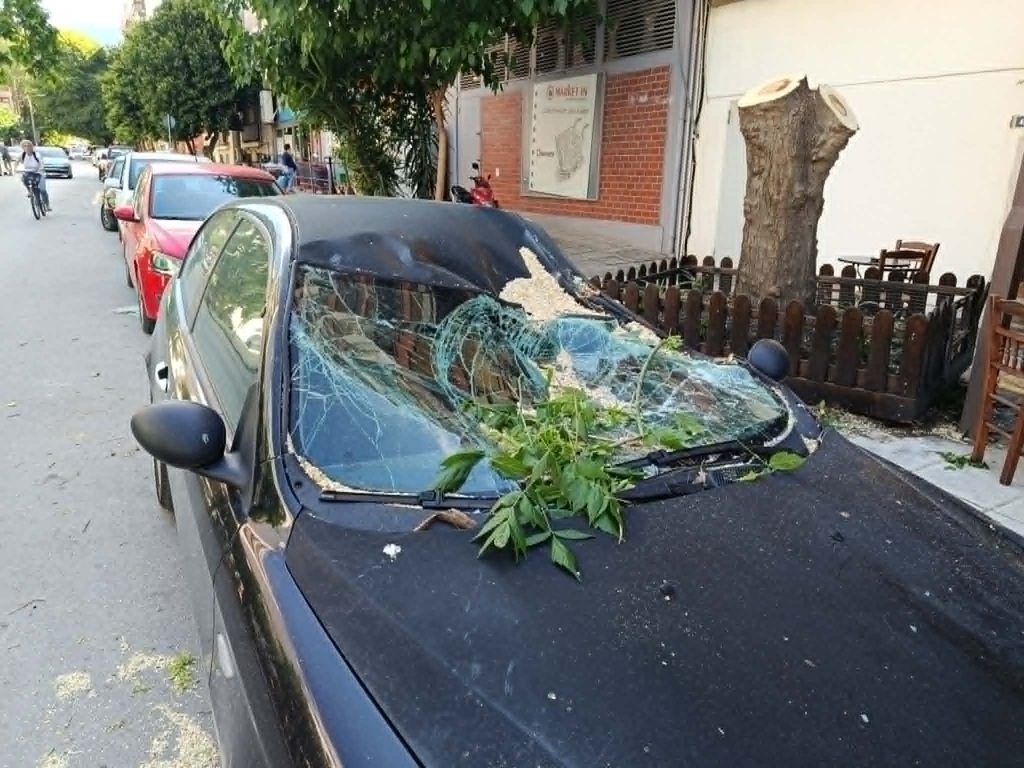 Πτώσεις δέντρων και ζημιές σε ΙΧ εξαιτίας ισχυρών ανέμων στον Βόλο