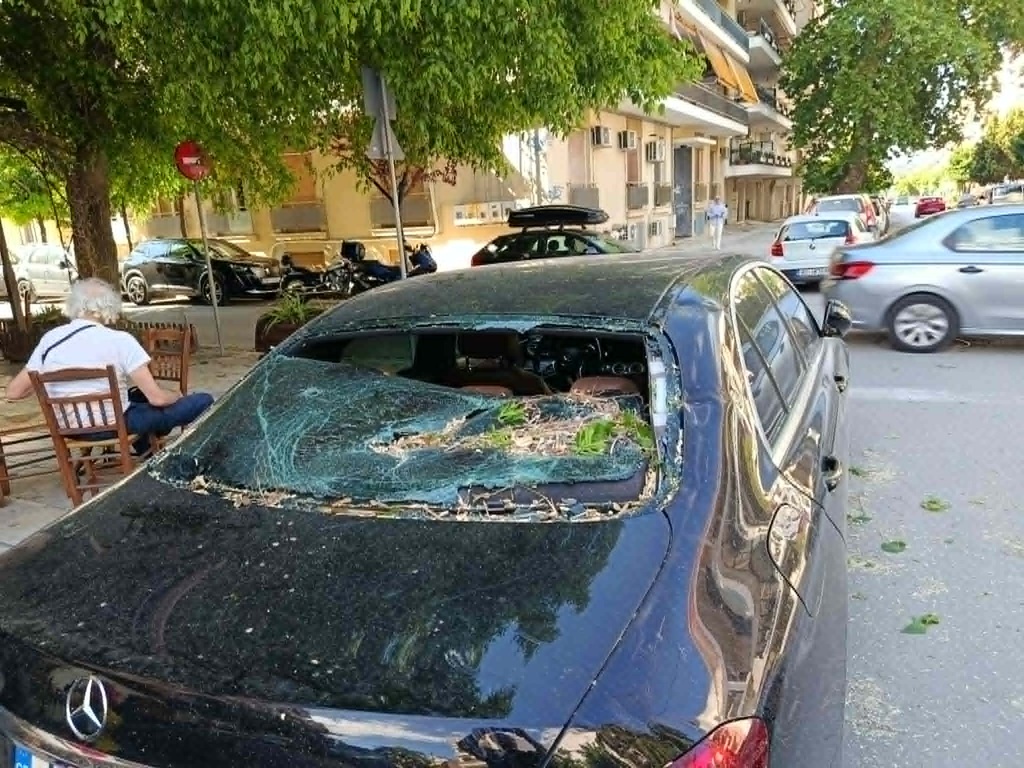 Πτώσεις δέντρων και ζημιές σε ΙΧ εξαιτίας ισχυρών ανέμων στον Βόλο