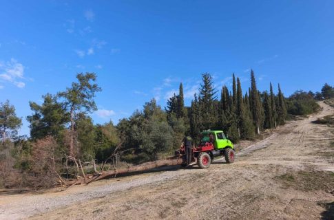 Από τη Θεσσαλονίκη στο Μόναχο: Μαθητές του Ευκλείδη «οδηγούν» το μέλλον της πράσινης αυτοκίνησης