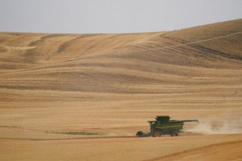 Reuters: Μεγαλώνει η πετρελαιοκηλίδα ανοικτά της νήσου Χαργκ