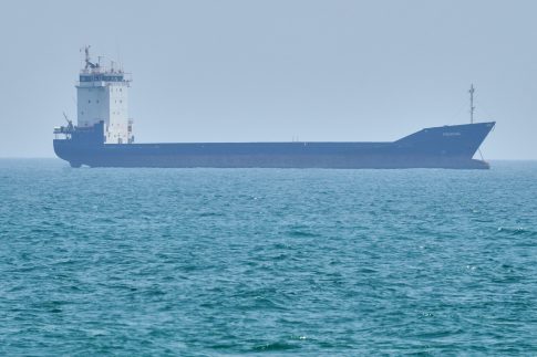 Καταγγελίες για αδιαφορία του Δήμου μετά από θανατώσεις αδέσποτων ζώων