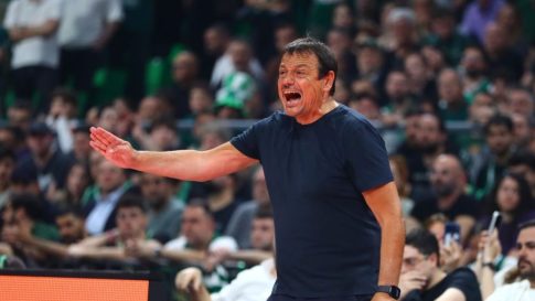 Live streaming: Δείτε τον 4ο τελικό ΠΑΟΚ-Παναθηναϊκός για τα play off της Volley League (17:30, ΕΡΤ2 ΣΠΟΡ)