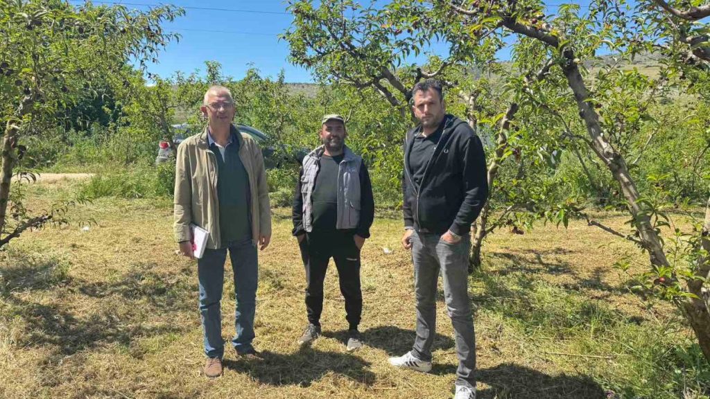 Αυτοψία του ΕΛΓΑ σε καλλιέργειες στον Τύρναβο