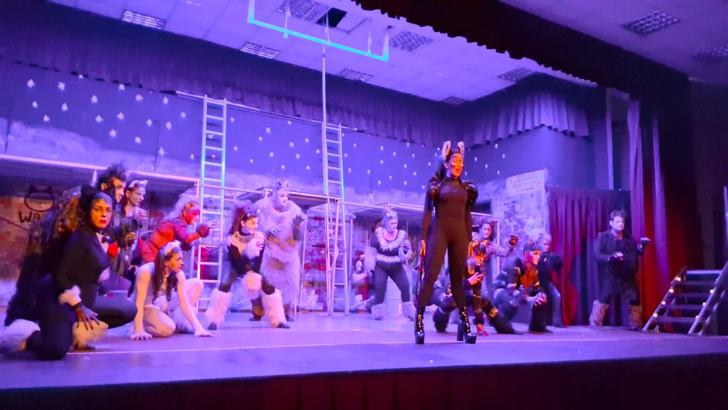 Το θρυλικό μιούζικαλ «Cats» ανέβασε η Θεατρική Ομάδα Καλλικώμου (βίντεο)