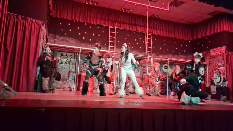 Το θρυλικό μιούζικαλ «Cats» ανέβασε η Θεατρική Ομάδα Καλλικώμου (βίντεο)