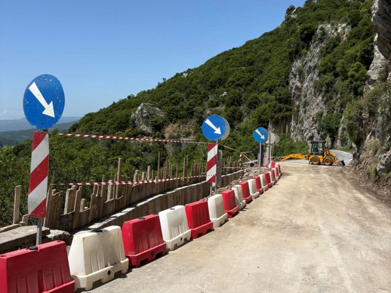 Προσωρινός ανάδοχος για παρεμβάσεις στον δρόμο των Λαγκαδίων Γορτυνίας