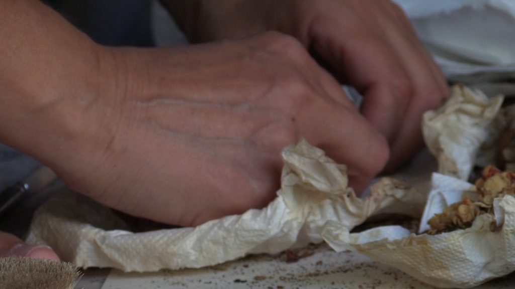 Κλιματική Κρίση: Από το Αόρατο στο Ορατό