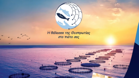 Δύο μετανάστες εντοπίστηκαν κρυμμένοι σε φορτηγό στο λιμάνι Ηγουμενίτσας