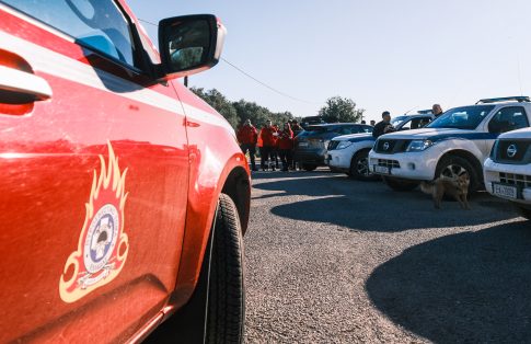 Καταγγελίες για αδιαφορία του Δήμου μετά από θανατώσεις αδέσποτων ζώων