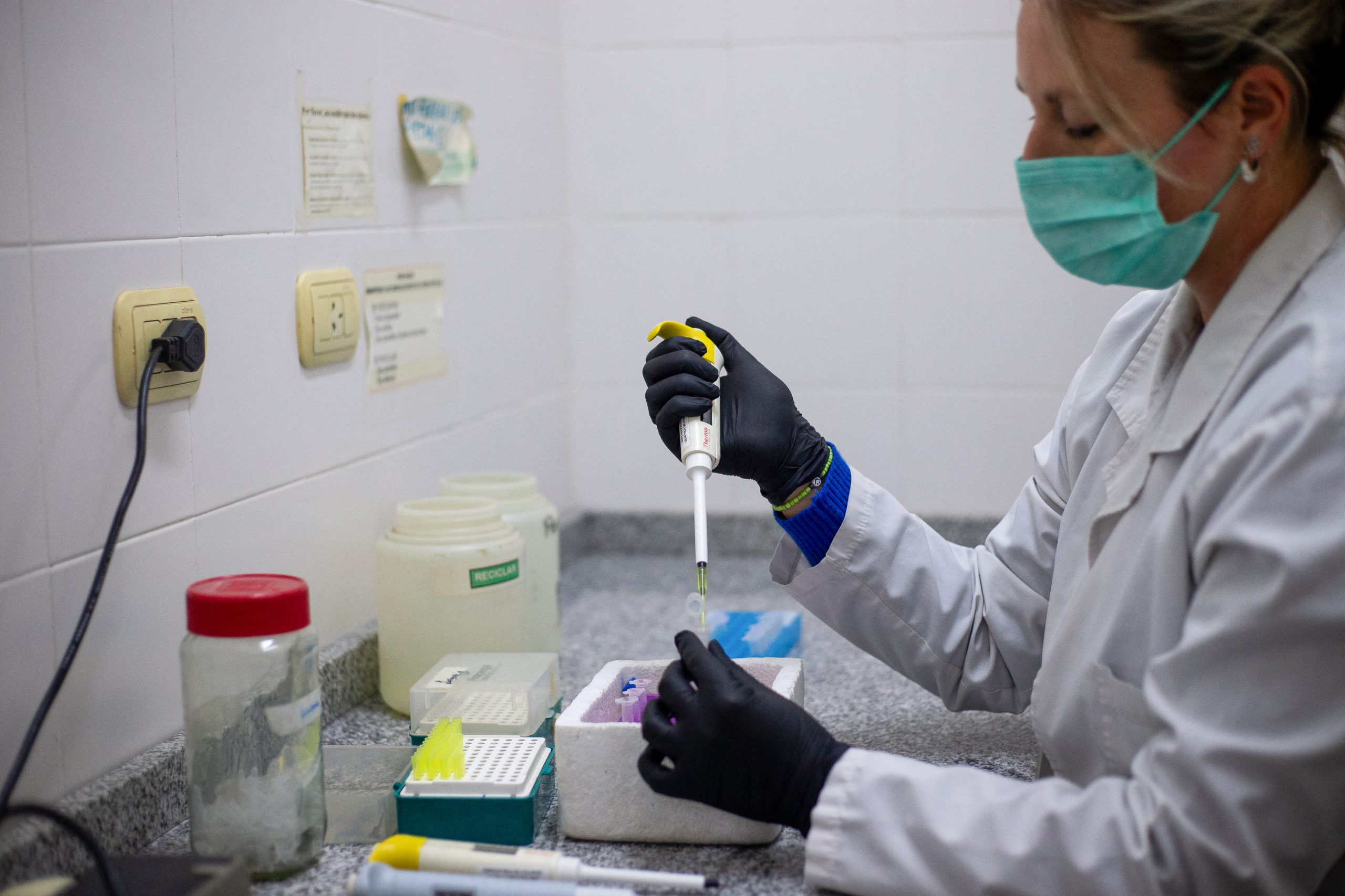 ARGENTINA-HEALTH-HANTAVIRUS-ILLNESS Χανταϊός: Σε καραντίνα στo νησάκι Πίτκερν του Ειρηνικού επιβάτιδα του κρουαζιερόπλοιου MV Hondius