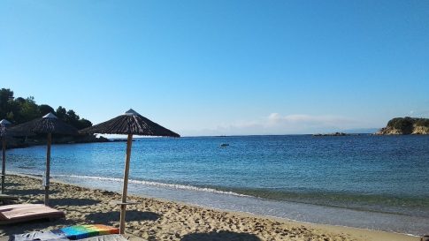 Αλ. Μεϊκόπουλος: Να διορθωθούν τα προβλήματα του συστήματος monitoring στα αγροτεμάχια