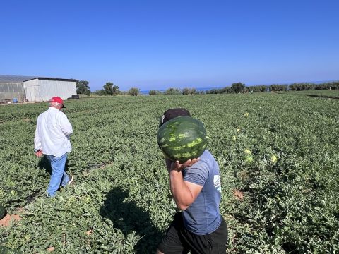 Μεσσηνία: Αυτοκίνητο ντελαπάρισε έξω από την Καρδαμύλη – Έκλεισε ο δρόμος προς Αρεόπολη