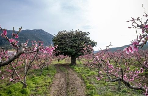 Olympus Riviera Greece: Ψηφιακή «γέφυρα» που συνδέει επισκέπτες, φορείς και επαγγελματίες του Τουρισμού της Πιερίας