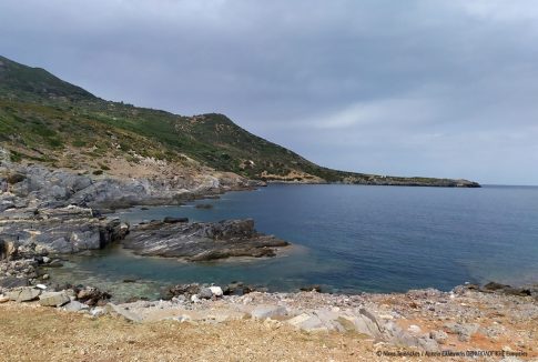 Εκδήλωση στο Χρυσοβίτσι Φαλάνθου για τον Θ. Κολοκοτρώνη