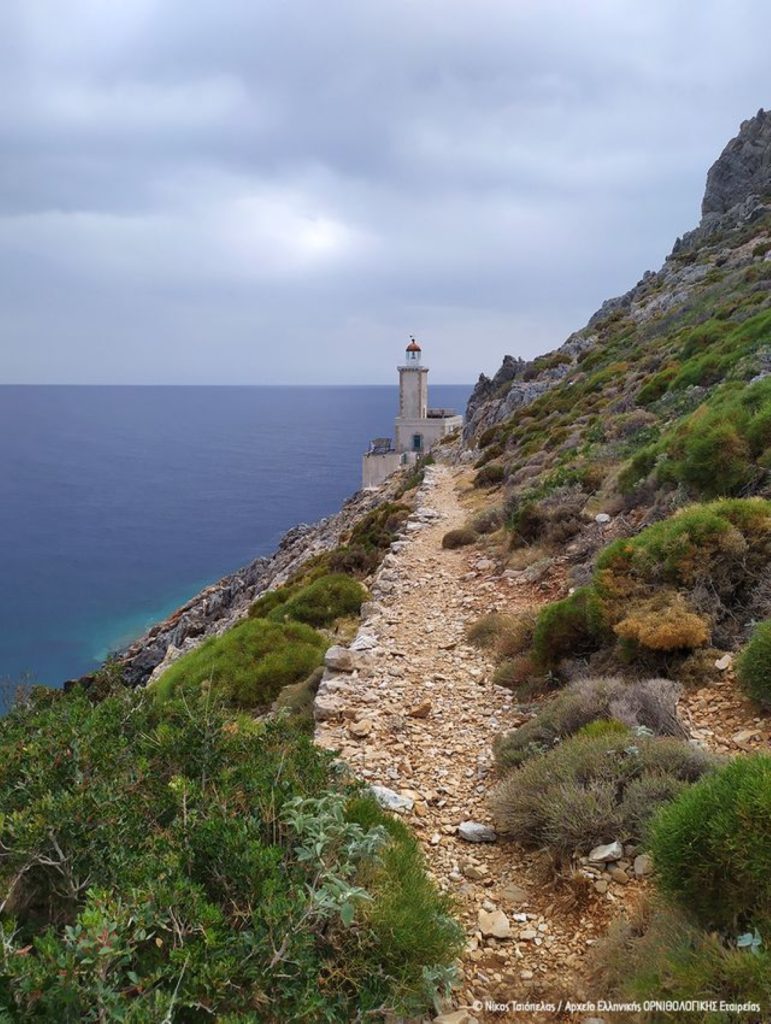 Ακρωτήριο Μαλέας: Στο διεθνές δίκτυο σημαντικών περιοχών για τα πουλιά