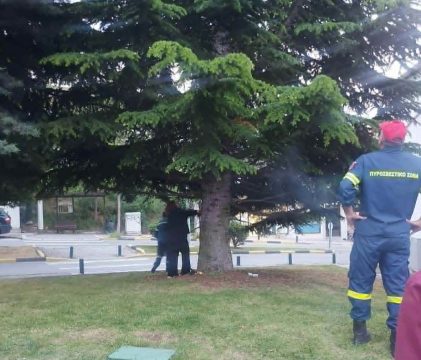 <strong>Κοζάνη: Αποκαταστάθηκε η λειτουργία της τηλεθέρμανσης  </strong>
