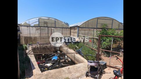 Live streaming: Δείτε τον 4ο τελικό ΠΑΟΚ-ΑΕΚ για την Α1 χάντμπολ Γυναικών (18:00, EΡΤ2 ΣΠΟΡ)
