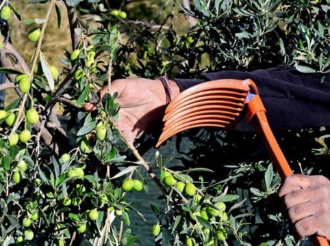 «Ο σώζων εαυτόν σωθήτω»: </br>Ο πόλεμος για την υγεία και </br> ο κόσμος που αλλάζει