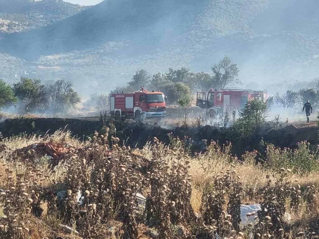 Μάχη με τις φλόγες στους Γόννους του δήμου Τεμπών  – Επιχειρούν επίγειες δυνάμεις και δύο αεροπλάνα