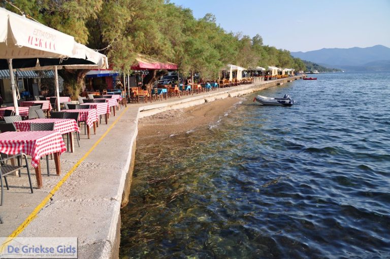 Για τρίτο καλοκαίρι με «μπλοκαριμένες» άδειες και «παγωμένα» πρόστιμα οι επαγγελματίες της παραλίας στη Μαγνησία