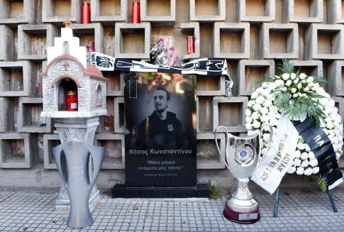 Φώκια έκανε την εμφάνισή της στη Νέα Μηχανιώνα- Δελφίνια στον Θερμαϊκό