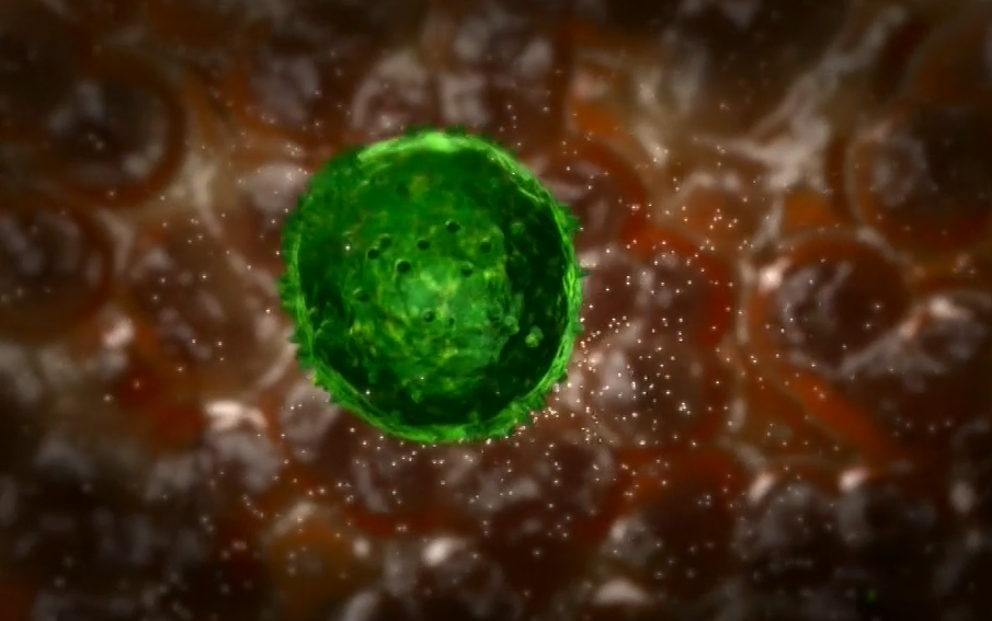 norovirus