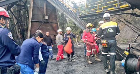 Ένθετο Γεωργία: <strong>Φόβοι για μείωση της αγοράς κρασιού στη Σαντορίνη λόγω σεισμών </strong>