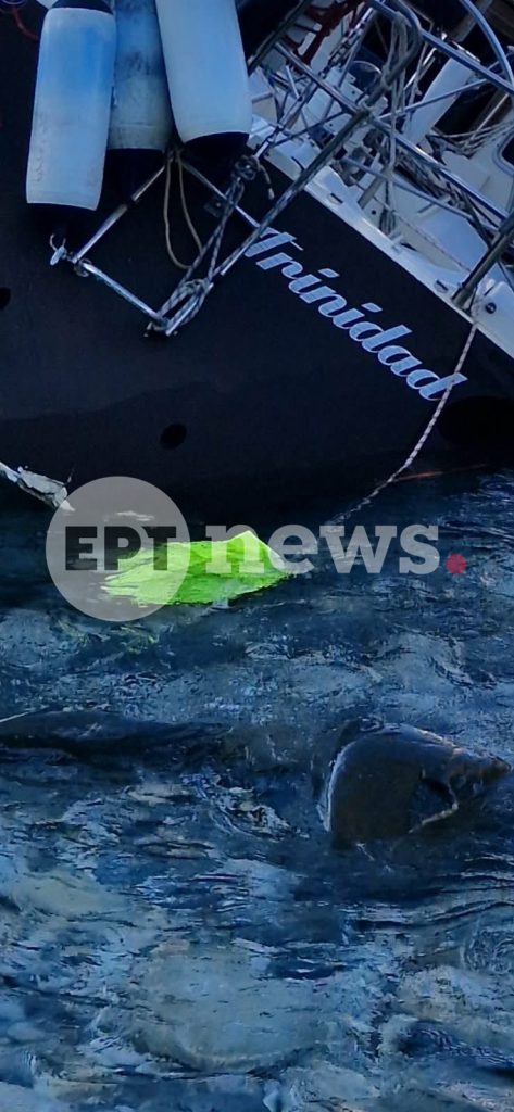 Ιστιοφόρο του στολίσκου για τη Γάζα προσάραξε σε βραχώδη ακτή της Γαύδου