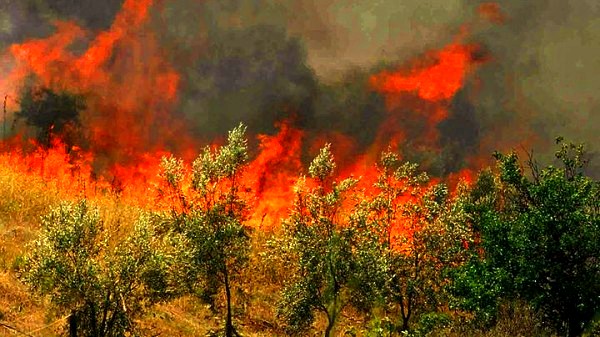 Το μήνυμα του Πυροσβεστικού Σώματος για την έναρξη της αντιπυρικής περιόδου