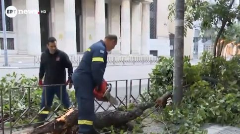 Θεσσαλονίκη: Τρεις ανήλικοι οι δράστες της ένοπλης ληστείας σε κατάστημα καφέ-ψιλικών