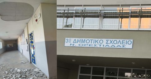 Τι συζητήθηκε στην τηλεδιάσκεψη για τα ζητήματα που απασχολούν τους κτηνοτρόφους της Λέσβου