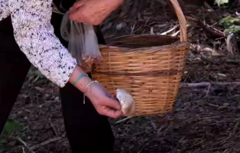 Συνάντηση Γεωπάρκων UNESCO στον Πεντάλοφο Βοΐου με επίκεντρο την τέχνη της πέτρας