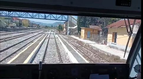 Αμύνταιο: Παρουσίαση έργου LIFE Bear-Smart Corridors για τη βιωσιμότητα της Καφέ Αρκούδας