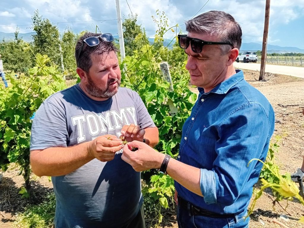 Σε χαλαζόπληκτες περιοχές του Τυρνάβου στελέχη της Περιφέρειας Θεσσαλίας και του ΕΛΓΑ