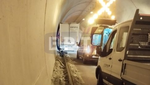 Διεθνές μεταπτυχιακό πρόγραμμα «One Health Education» στα Ιωάννινα