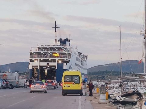 Παρέμβαση Κτηνιατρικού Συλλόγου Μαγνησίας κατά Μπέου: «Η ευθανασία δεν είναι μέσο διαχείρισης αδέσποτων»