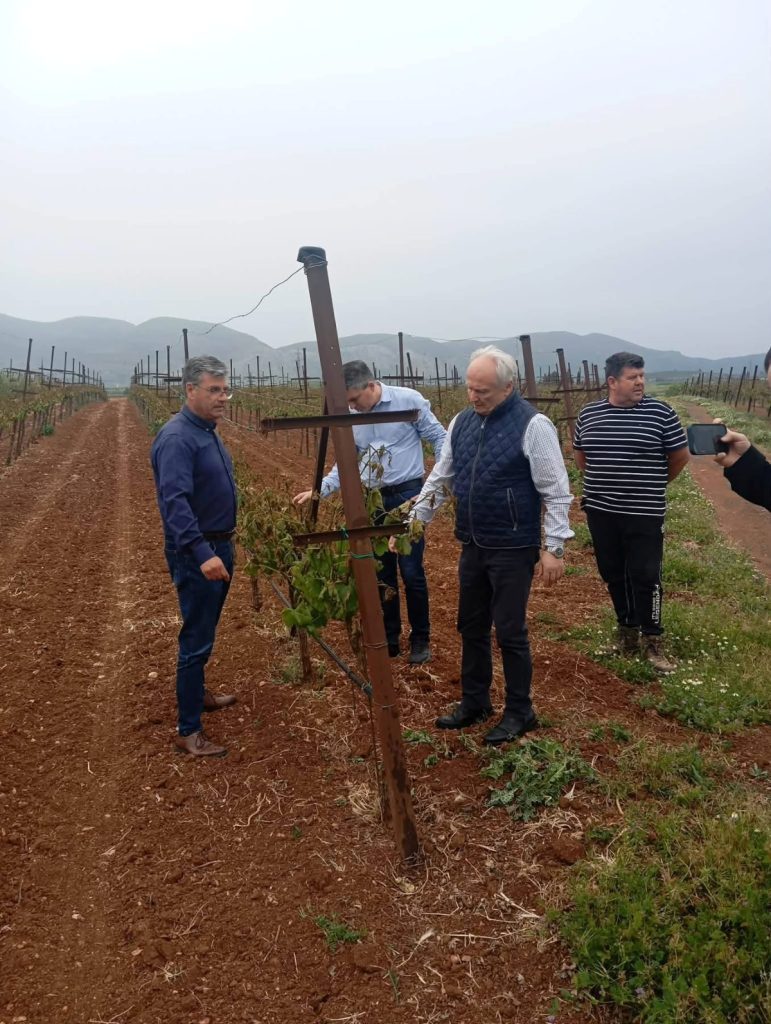 Σε Κορινθία και Τρίπολη για αυτοψία στις ζημιές του παγετού ο Γιάννης Ανδριανός